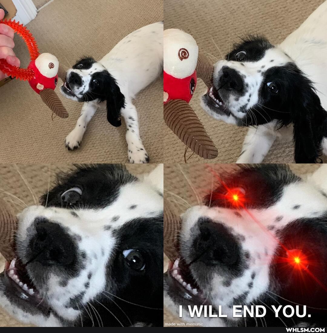 WILL END YOU.