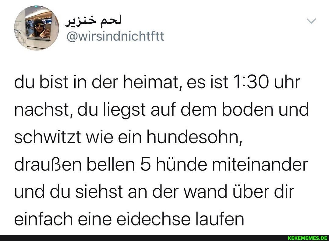du bist in der heimat, es ist uhr nachst, du liegst auf dem boden und schwitzt wie ein hundesohn, draußen bellen 5 hünde miteinander und du siehst an der wand über dir einfach eine eidechse laufen
