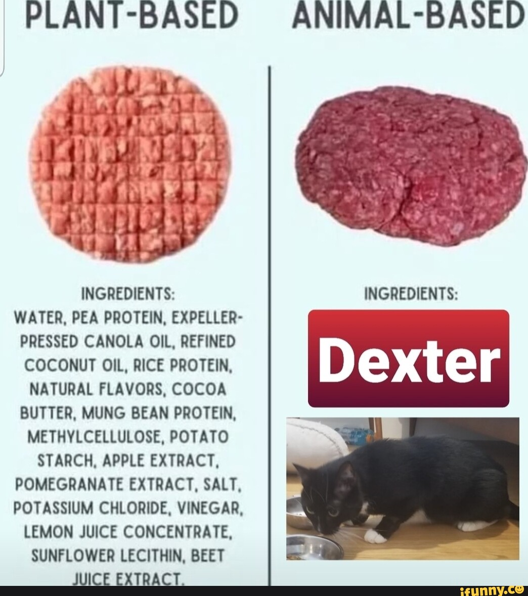 PLANTBASED he "7 plies at INGREDIENTS WATER, PEA PROTEIN, EXPELLER