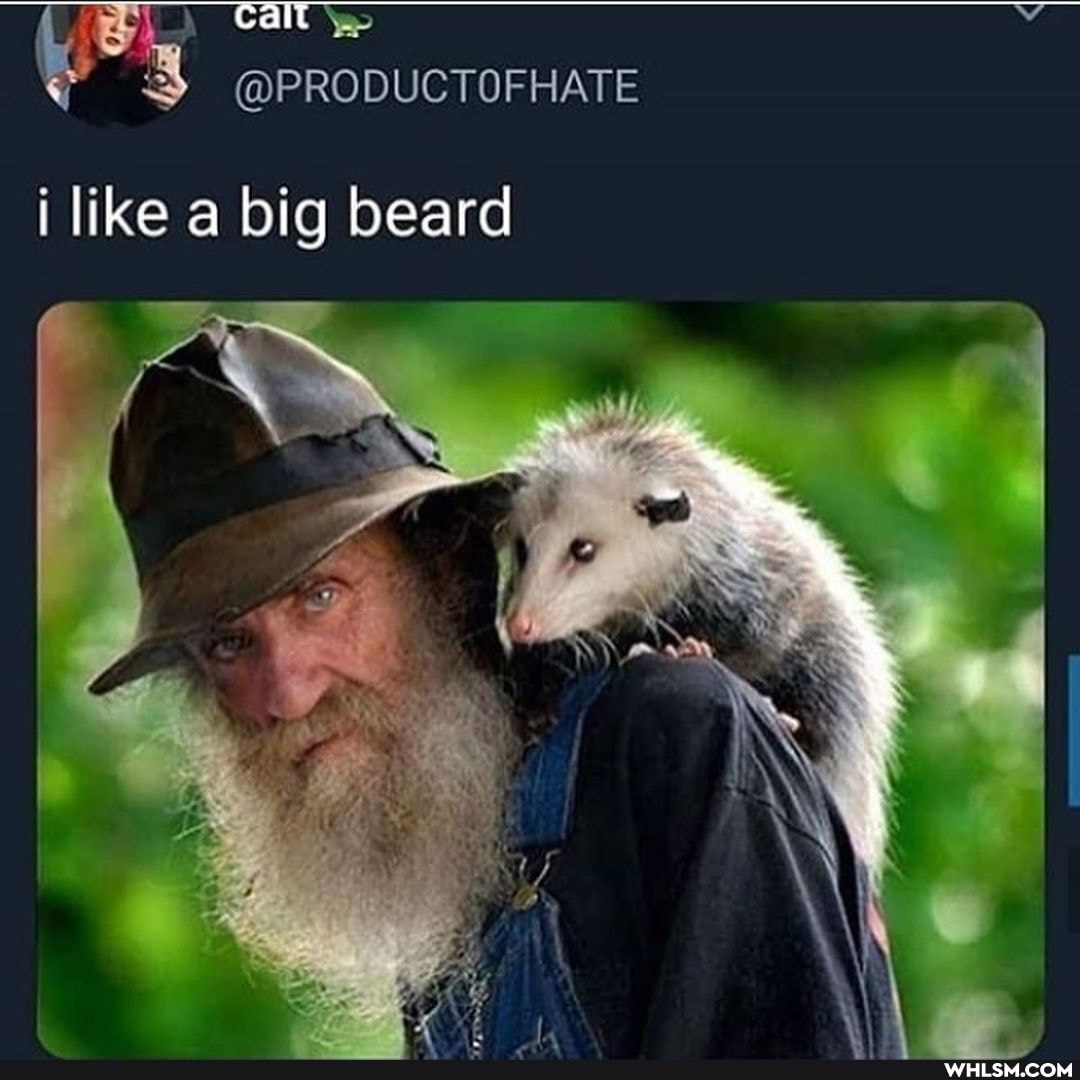 call
@PRODUCTOFHATE
i like a big beard
WA