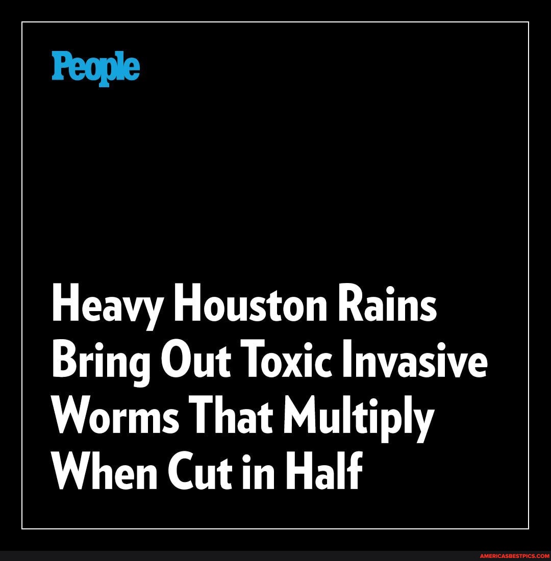 Houston residents are bracing for invasive and toxic hammerhead(02)
