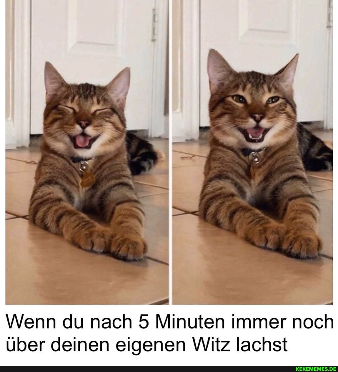 Wenn du nach 5 Minuten immer noch
über deinen eigenen Witz lachst