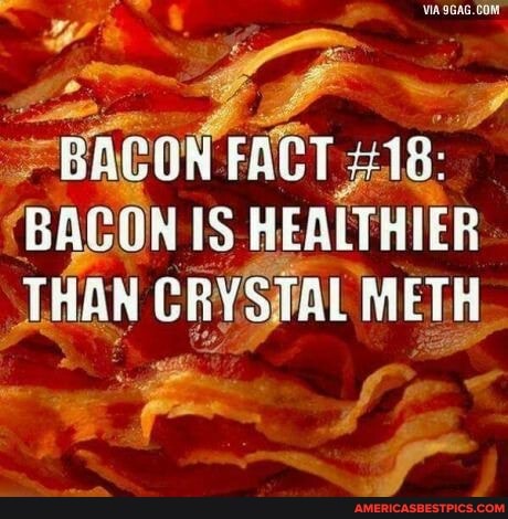 FACT
'BACON IS HEALTHIER THAN CRYSTAL METH
= : f