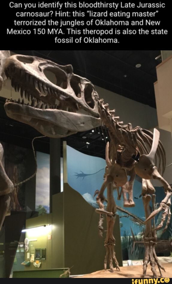 Can you identify this bloodthirsty Late Jurassic carnosaur? Hint this