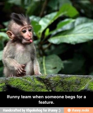 Munny team when someone begs for a
feature. - Ifunny team when someone begs for a feature.
