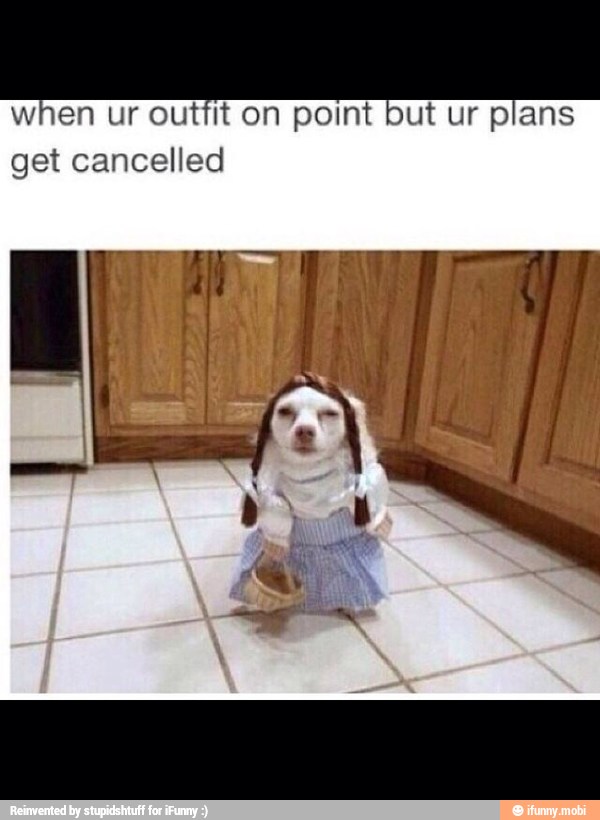 when ur outfit on point
get cancelled