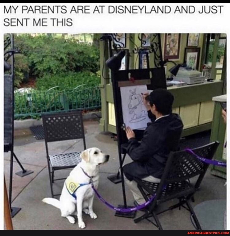 MY PARENTS ARE AT DISNEYLAND AND JUST SENT ME THIS