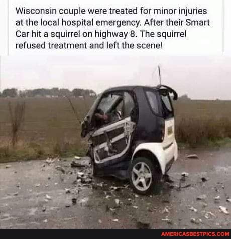 Wisconsin couple were treated for minor injuries at the local hospital emergency. After their Smart
Car hit a squirrel on highway 8. The squirrel refused treatment and left the scene!
