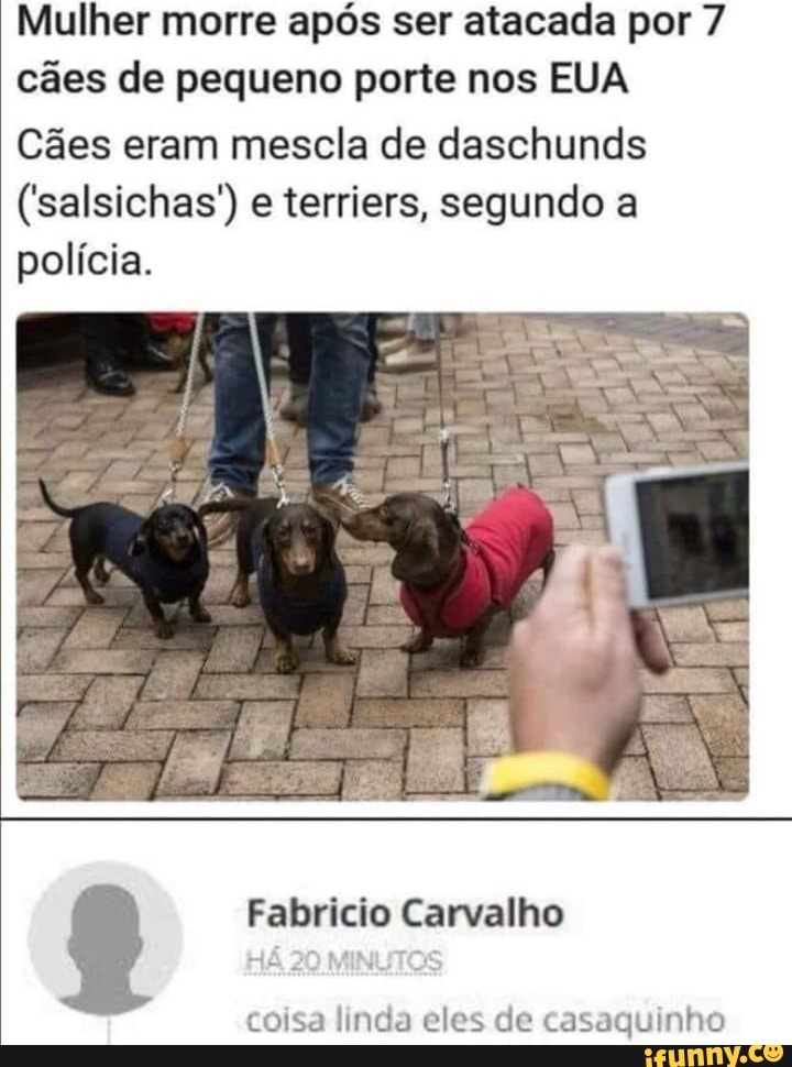 Mulher morre após ser atacada por 7 cães de pequeno porte nos EUA Cães eram mescla de daschunds
('salsichas" e terriers, segundo a polícia.
Fabricio Carvalho
coisa linda eles de casaquinho