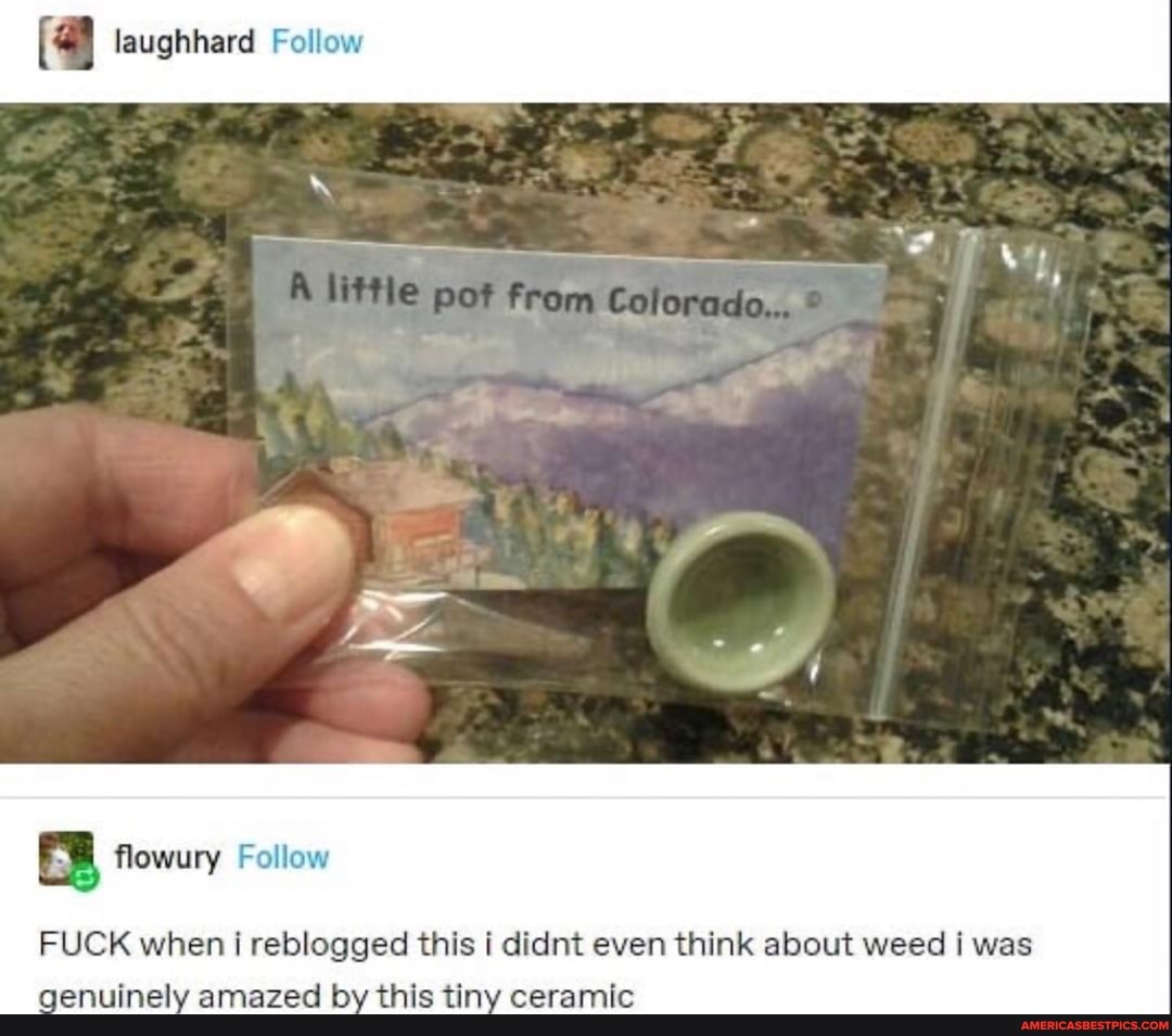 laughhard Follow
'Orr
FUCK when reblogged this i didnt even think about weed i was genuinely amazed by this tiny ceramic