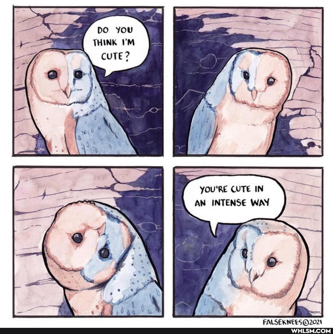 THINK CUTE?
YOU'RE CUTE IN AN INTENSE WAY
