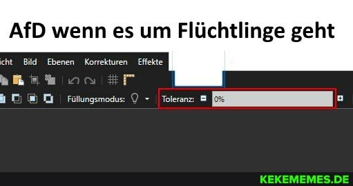 AfD wenn es um Flüchtlinge geht