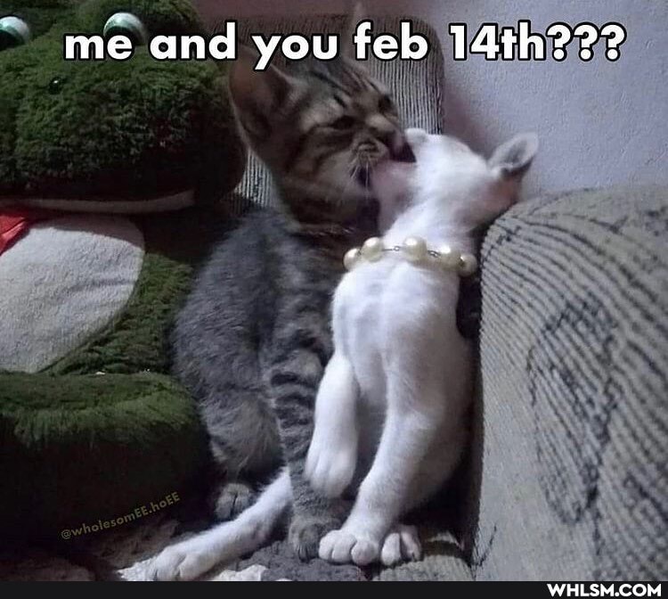 me and you feb 14th???
ip