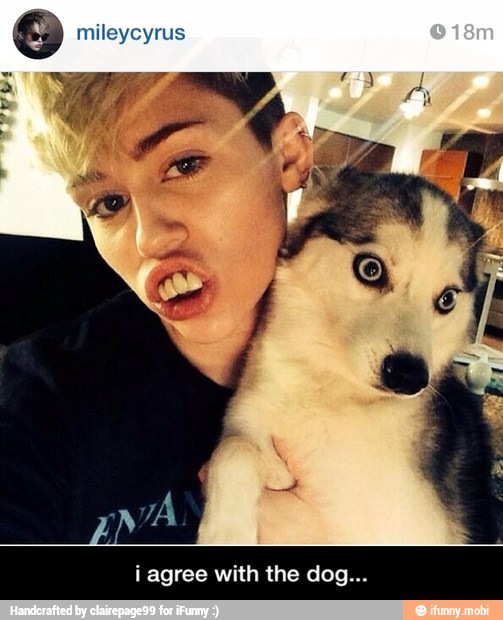 mileycyrus - i agree with the dog...