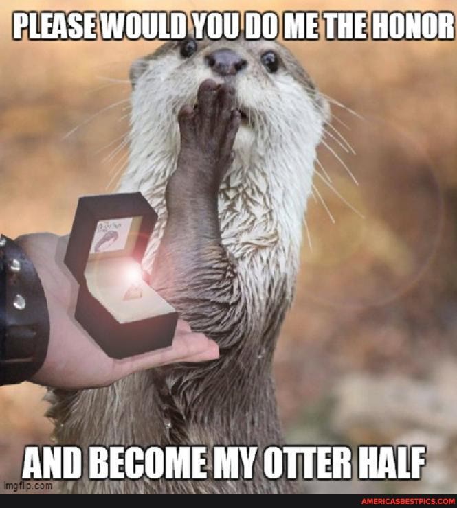 PLEASE WOULD YOU DO ME THE HONOR
AND BECOME MY OTTER HALF