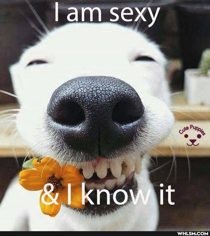 Iam sexy
know it