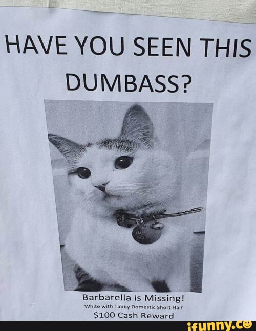 HAVE YOU SEEN THIS DUMBASS? - iFunny