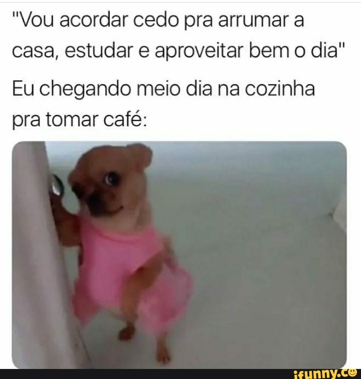"Vou acordar cedo pra arrumar a
casa, estudar e aproveitar bem o dia"
Eu chegando meio dia na cozinha
pra tomar café: