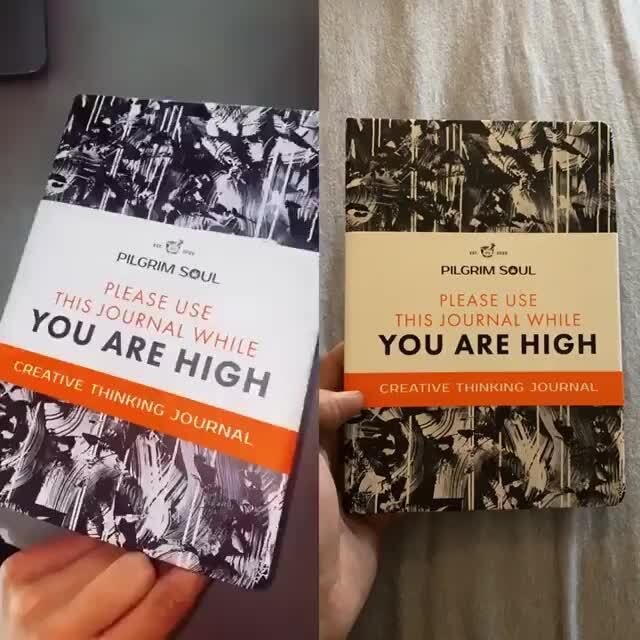 Please Use This Journal While You are High — PILGRIM SOUL CREATIVE