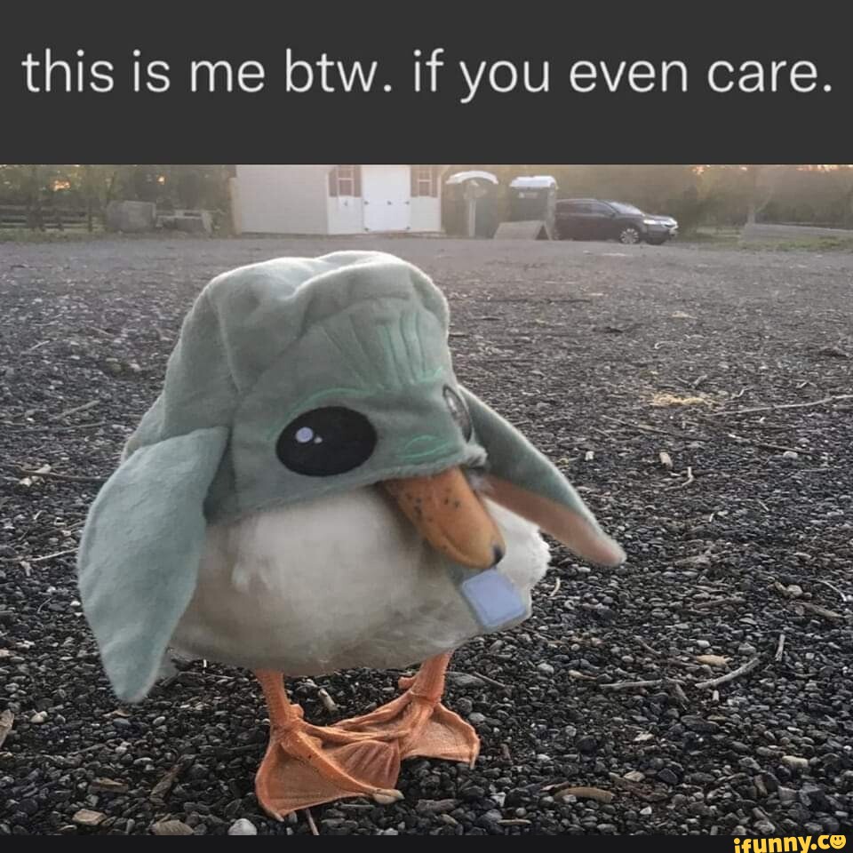 This is me btw. if you even care. - iFunny