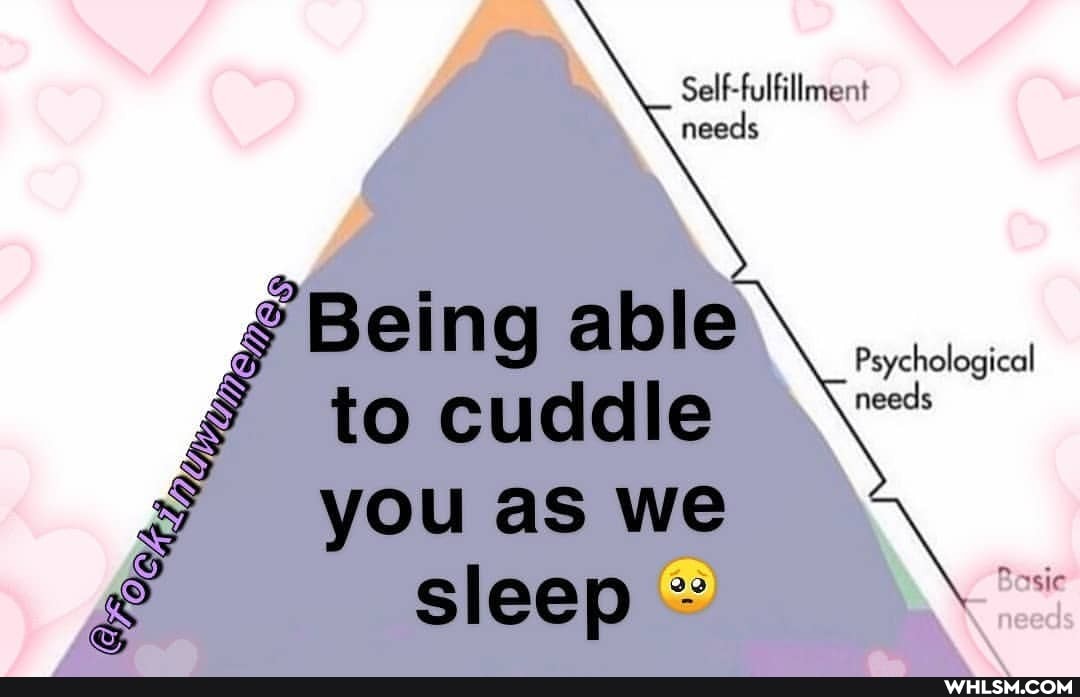 Self-fulfillment
needs
B el n g able Psychological to cuddle needs
Basie
needs
you as we sleep