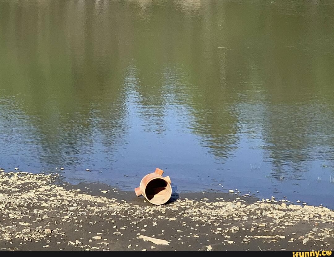 pollution, wild, septic, river