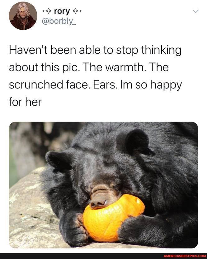 rory
Haven't been able to stop thinking about this pic. The warmth. The scrunched face. Ears. lm so happy for her