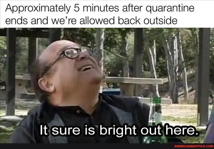 Approximately 5 minutes after quarantine ends and we're allowed back outside
It sure is bright out here~