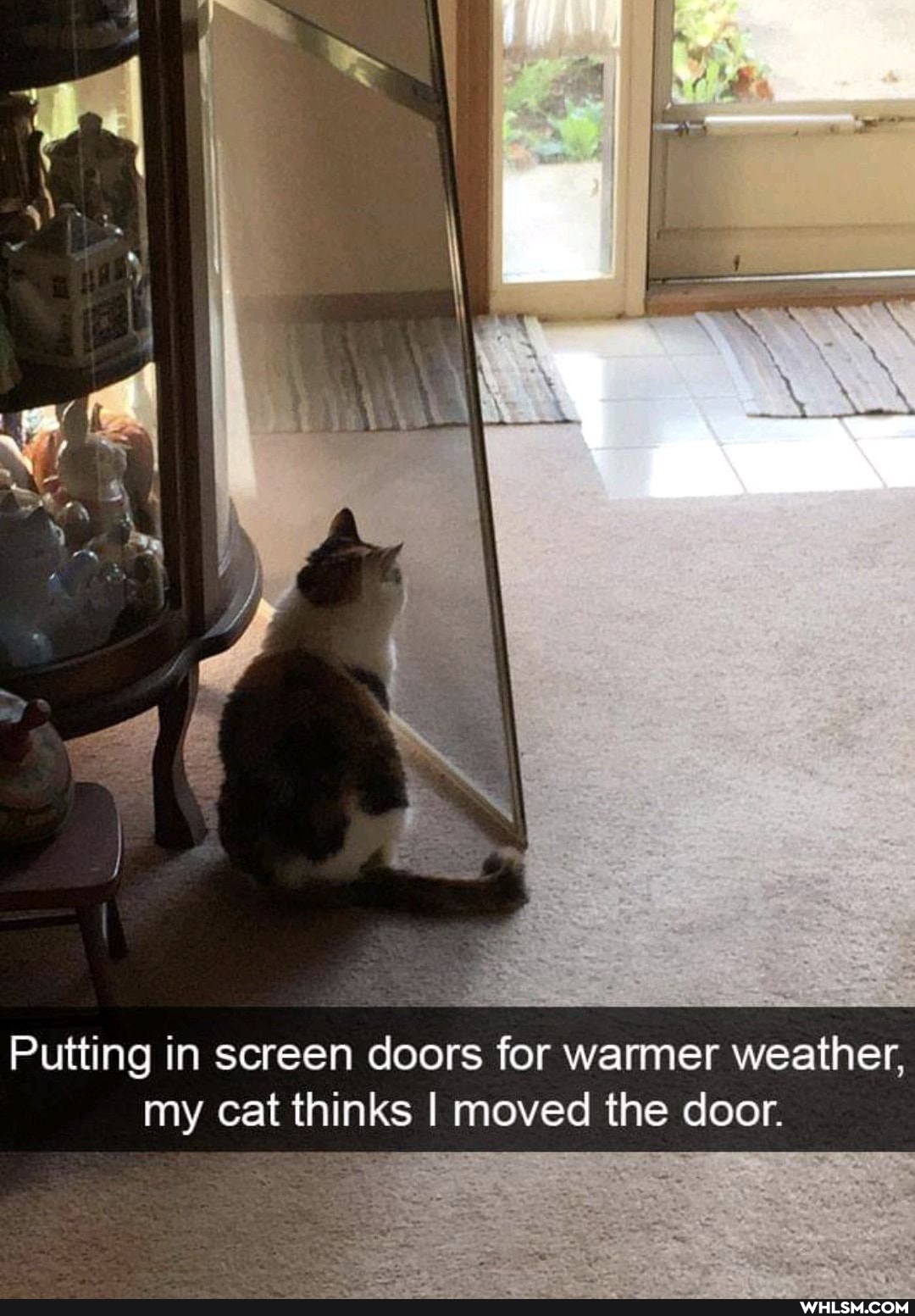 Putting in screen doors for warmer weather, my cat thinks I moved the door.