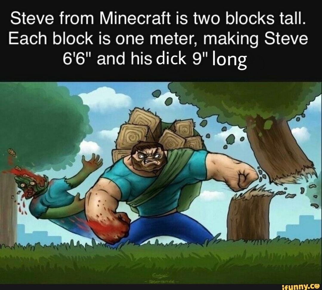 Steve from Minecraft is two blocks tall. Each block is one meter