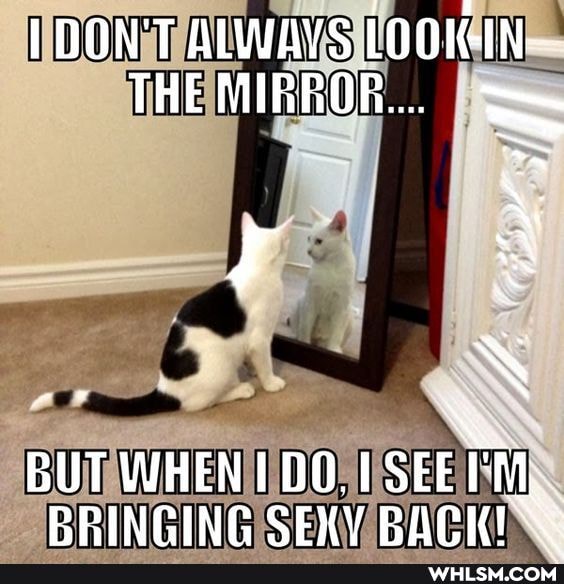 DON'T ALWAYS LOOIGIN-.
THE MIRROR...
BUT WHENIDO.I SEE PRINCING SEXY RAIES