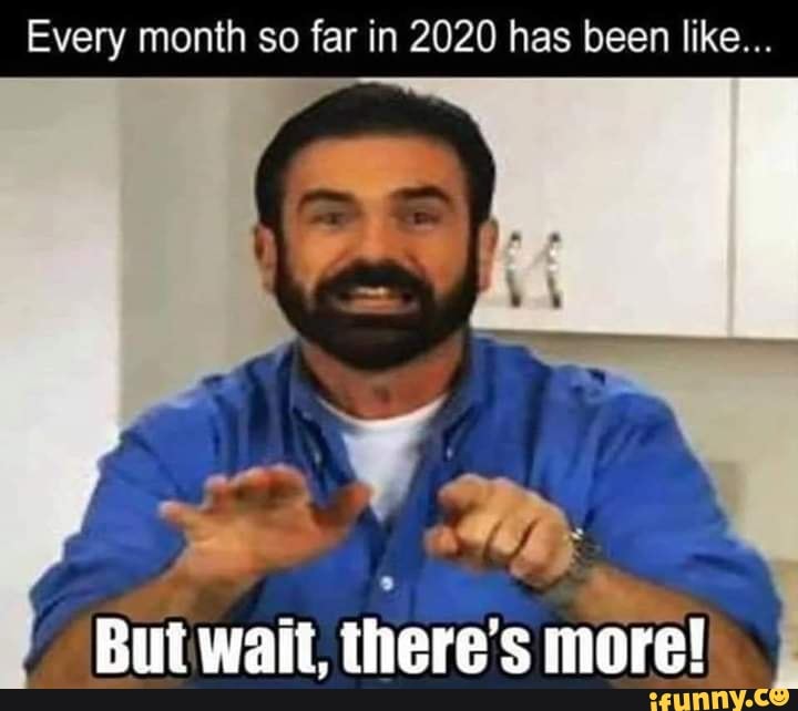 Every month so far in 2020 has been like...