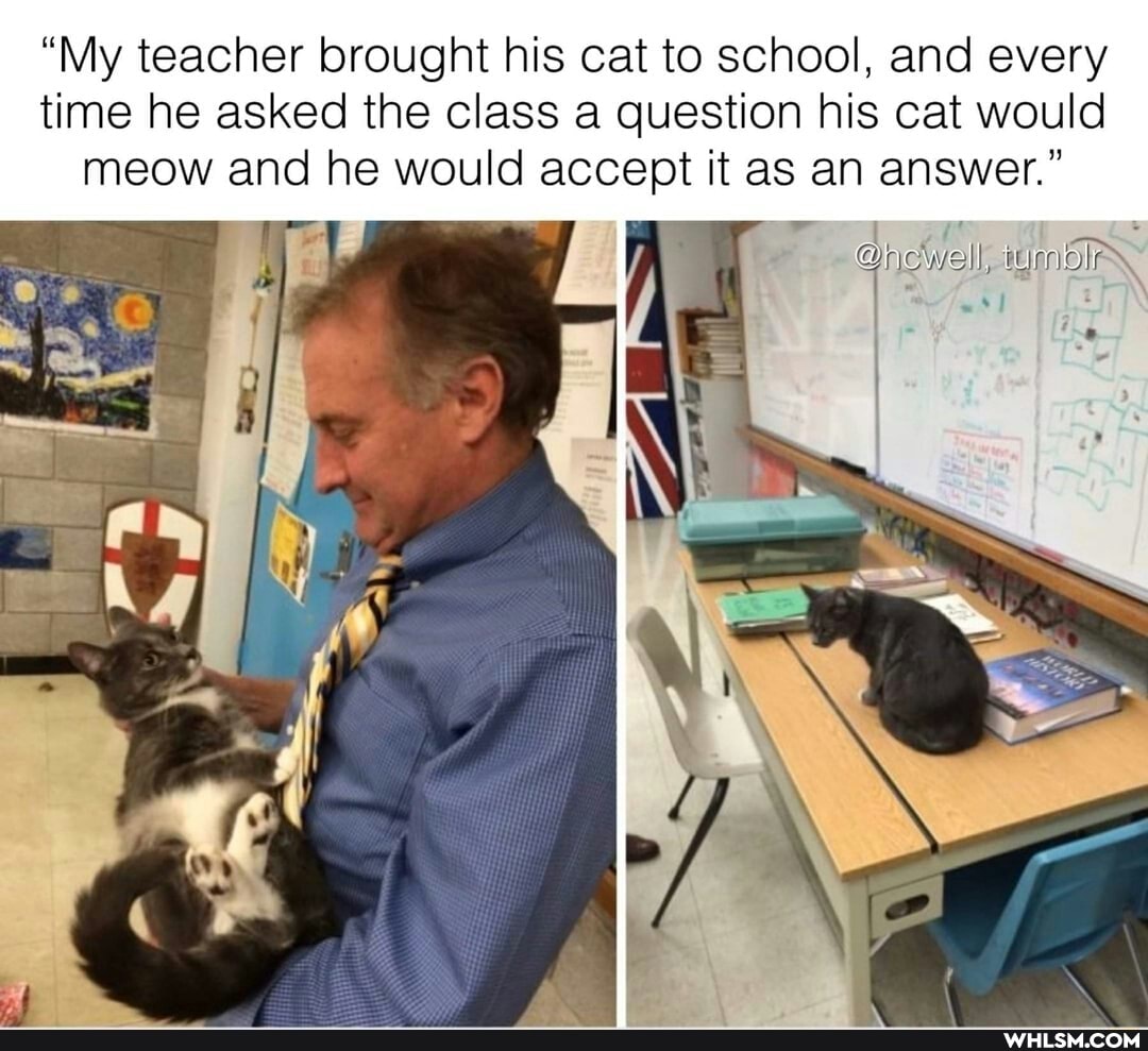 "My teacher brought his cat to school, and every time he asked the class a question his cat would meow and he would accept it as an answer."
ewell,