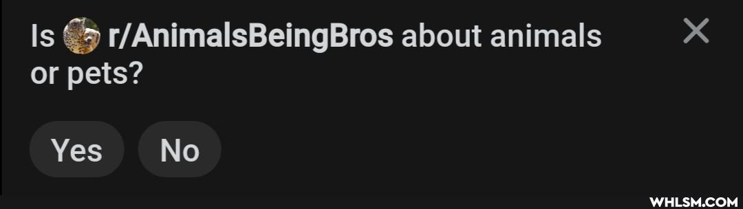Is (/AnimalsBeingBros about animals or pets?
Yes No