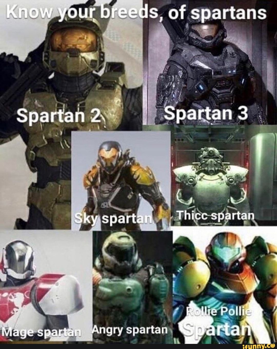 Know your breeds, of spartans Spartan 2. Spartan 3 Sky spartan Thice ...