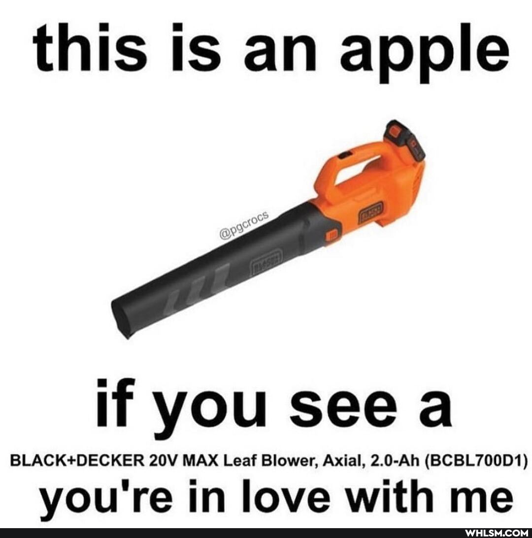 this is an apple
if you see a
BLACKSOECKER MAX Leaf Blower, Axial, 2.0-Ah (BCBL700D1)
you're in love with me