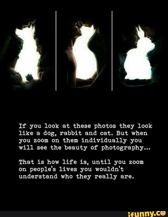 If you look at these photos they look like a dog, rabbit and cat. But when you zoom on them individually you will see the beauty of photography...
That is how life is, until you zoom on people's lives you wouldn't understand who they really are.