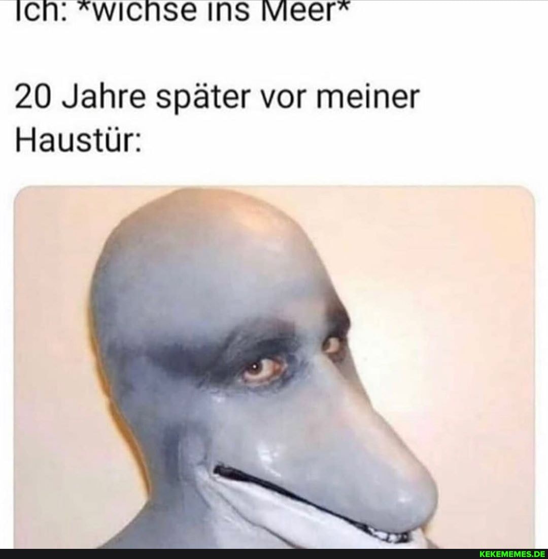 IcH. "wIcnse INS Meer"
20 Jahre später vor meiner
Haustür: