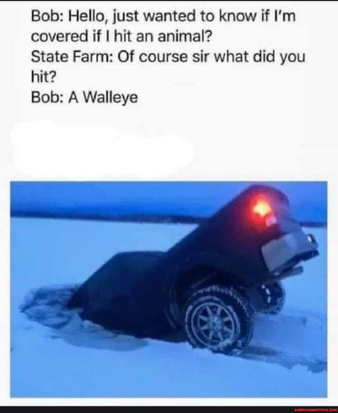 Bob: Hello, just wanted to know if I'm covered if I hit an animal?
State Farm: Of course sir what did you hit?
Bob: A Walleye
