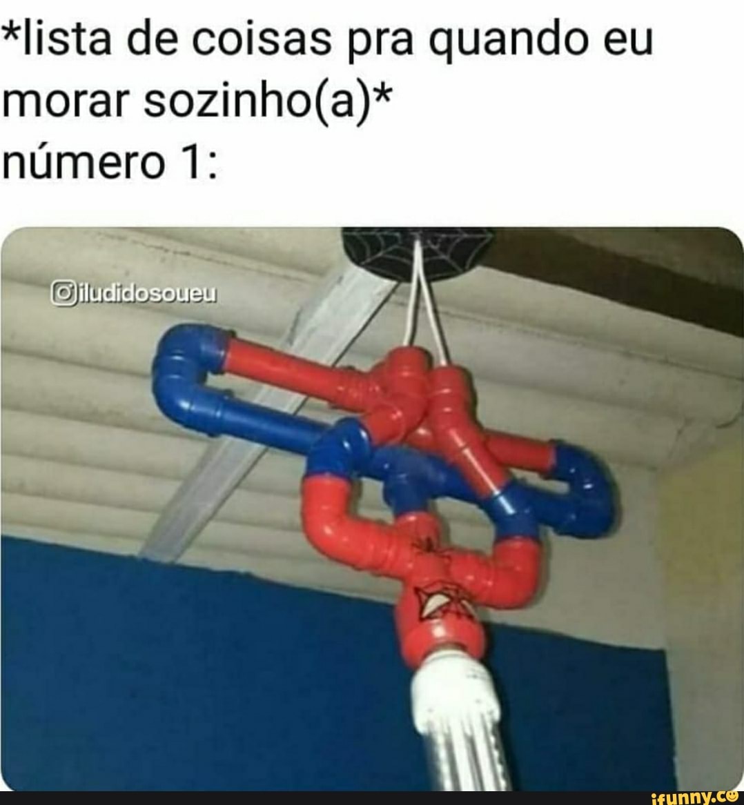 "lista de coisas pra quando eu morar
número 1: