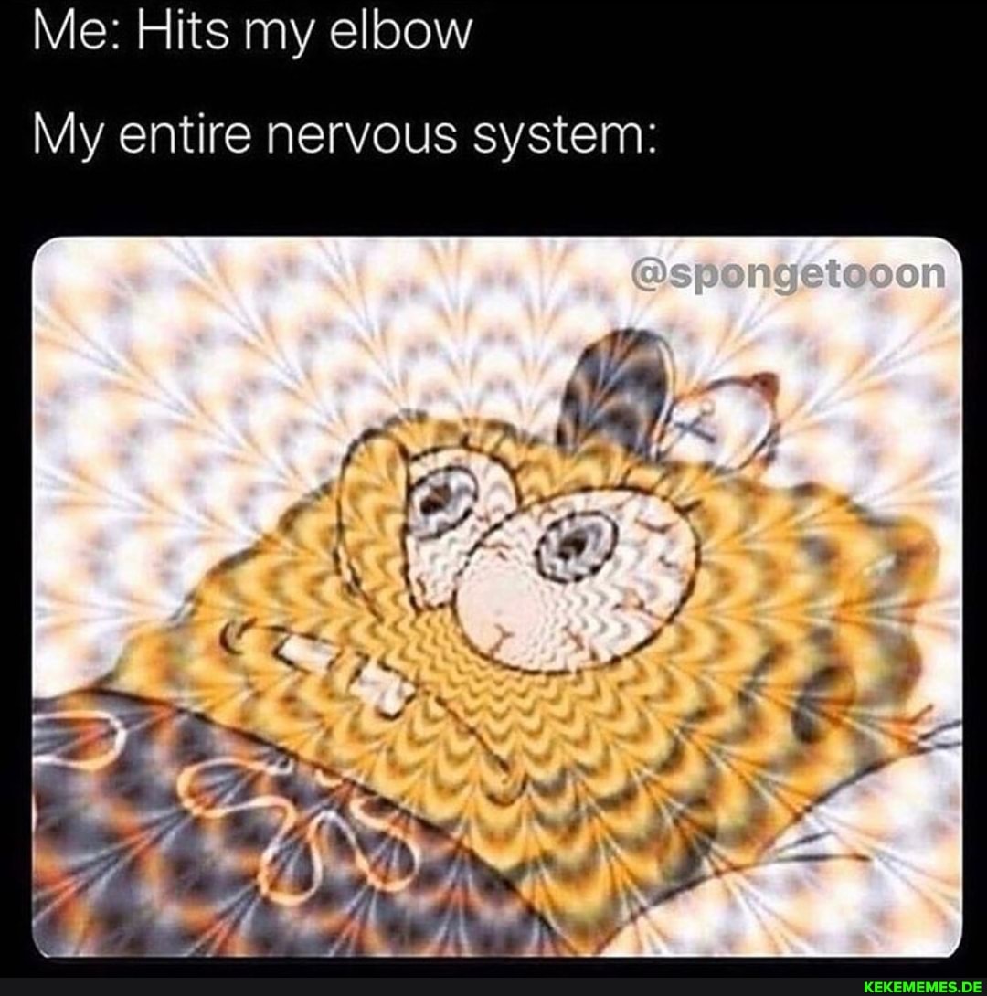 Me: Hits my elbow
My entire nervous system:
@spengeteoon