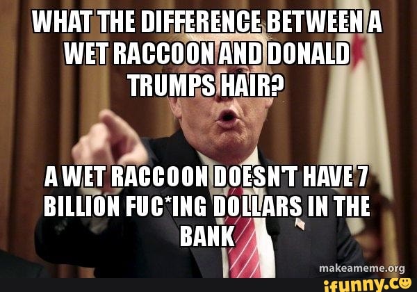 what-the-difference-between-a-wet-raccoon-and-dowald-trumps-haird-awet