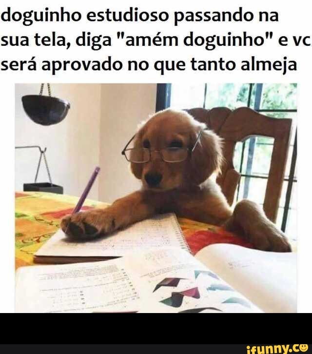 doguinho estudioso passando na
sua tela, diga "amém doguinho" e vc
será aprovado no que tanto almeja -