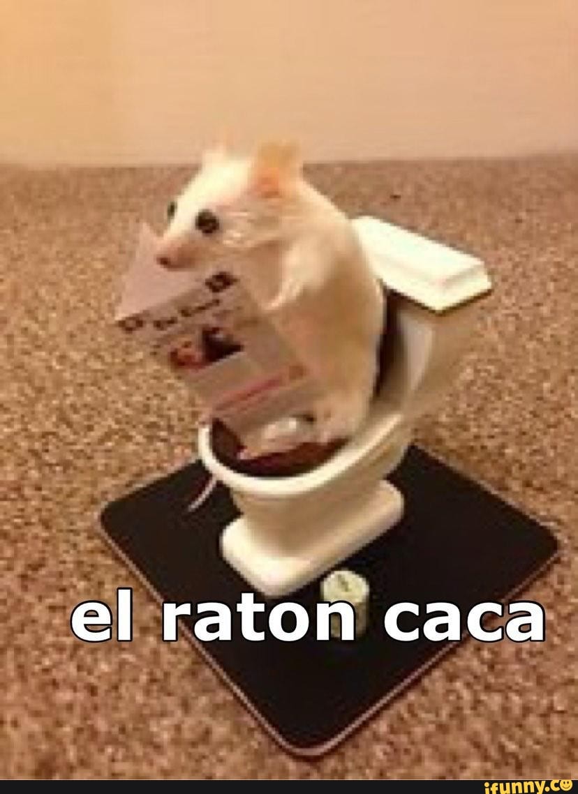 El raton caca - iFunny