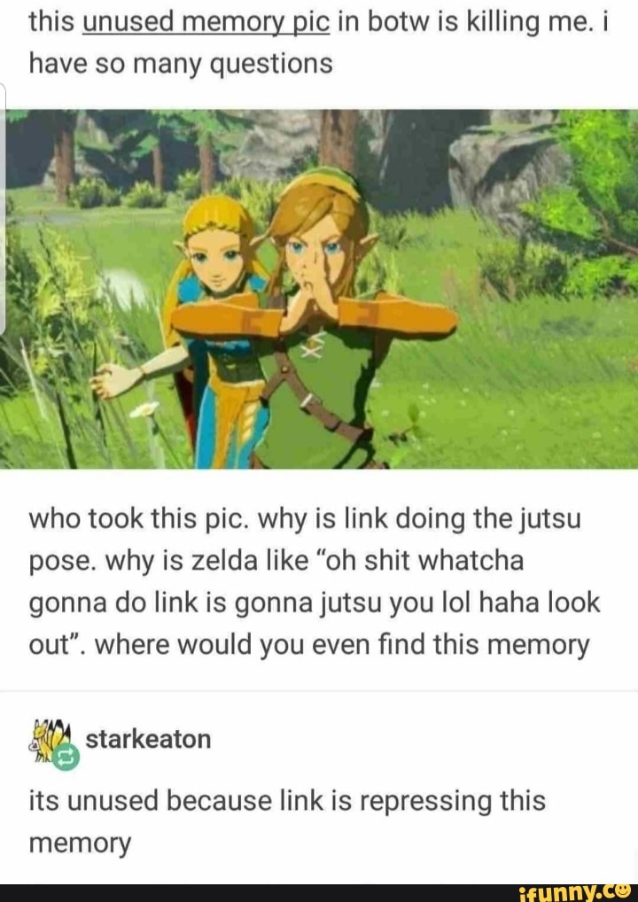 We should be using this Link rediscovering his memories template for making  grand realizations about the game : r/Breath_of_the_Wild