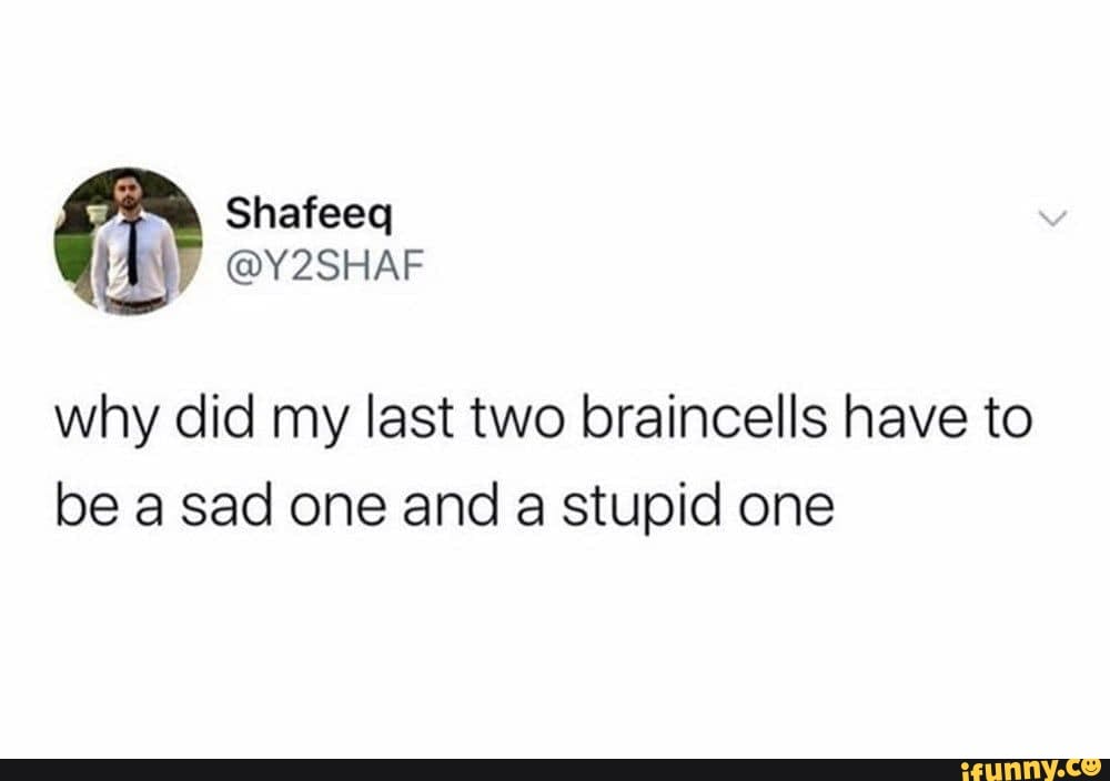 why did my last two braincells have to
be a sad one and a stupid one