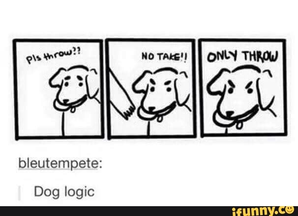 bleutempete:
Dog logic