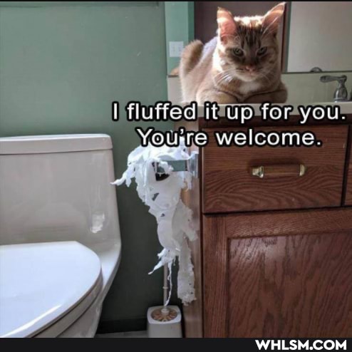 you"
Usre welcome.