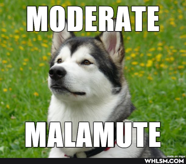 MODERATE
MALAMUTE