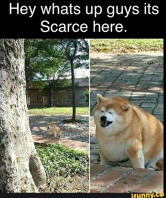 Hey Whats Up Guys Its Scarce Here